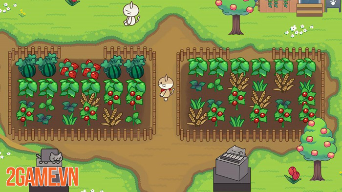 Cat Forest – Healing Camp: Khi loài mèo thống trị thế giới ảo trong game 2 Cat Forest – Healing Camp: Khi loài mèo thống trị thế giới ảo trong game 2