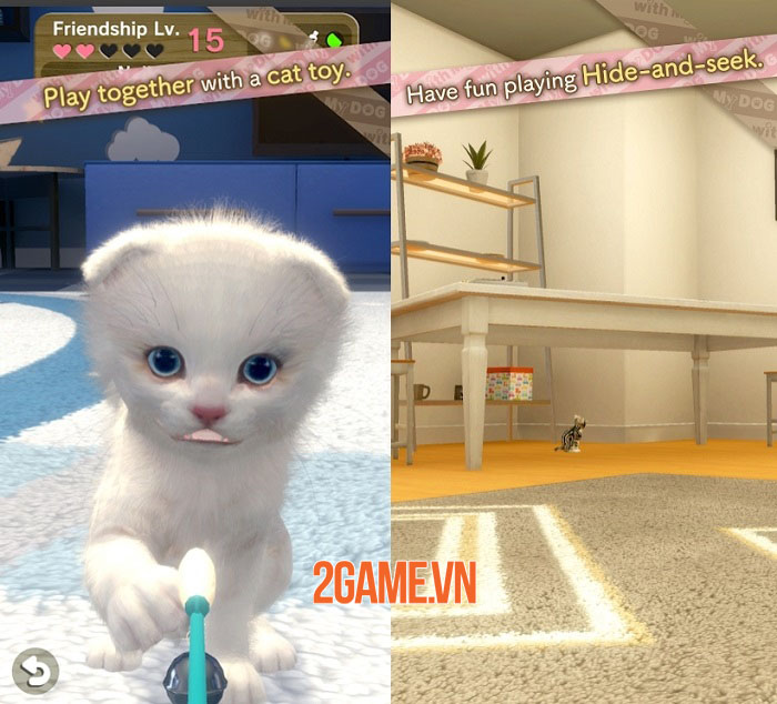 With My CAT - Gặp gỡ và tương tác với những chú mèo con độc đáo 1 With My CAT - Gặp gỡ và tương tác với những chú mèo con độc đáo 1