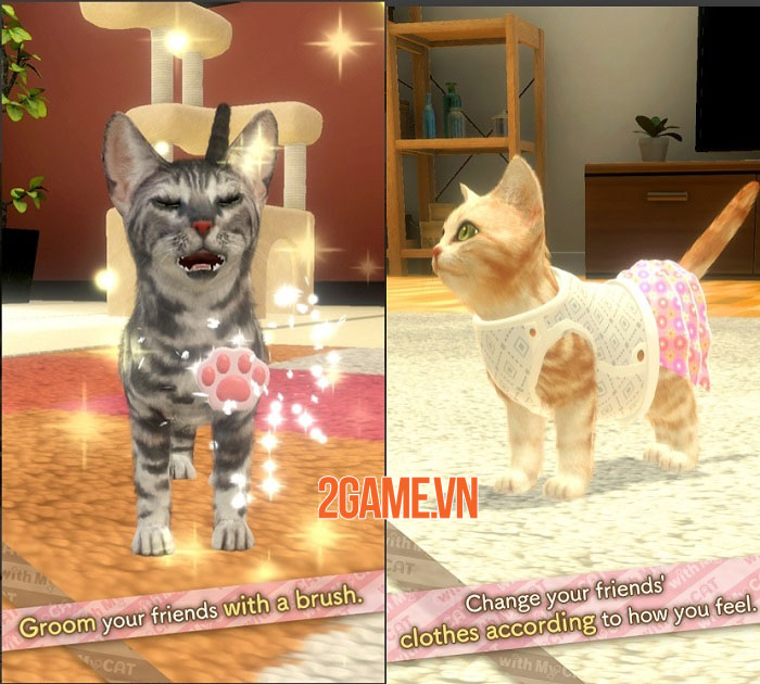 With My CAT - Gặp gỡ và tương tác với những chú mèo con độc đáo 2 With My CAT - Gặp gỡ và tương tác với những chú mèo con độc đáo 2