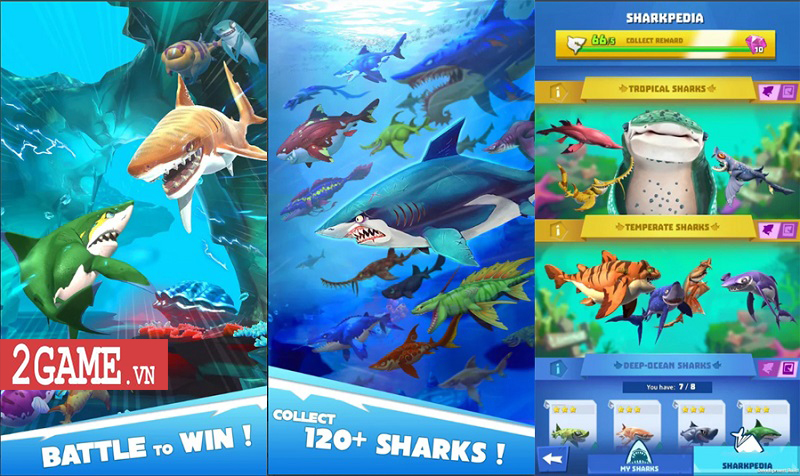 Photo of Hungry Shark: Heroes – Tiếp tục hành trình lai giống cá mập dưới hình thức game thẻ tướng