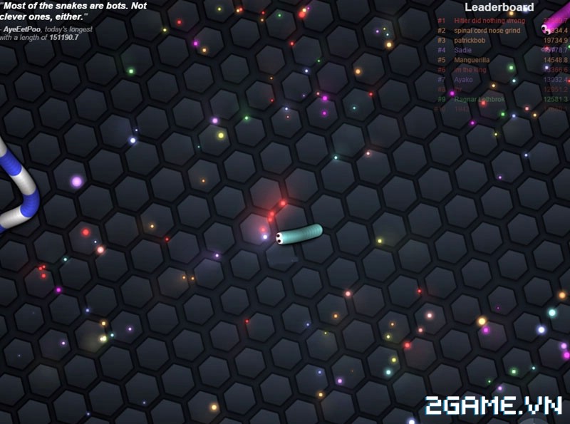 2game_18_5_Slither.io_2.jpg (800×595)