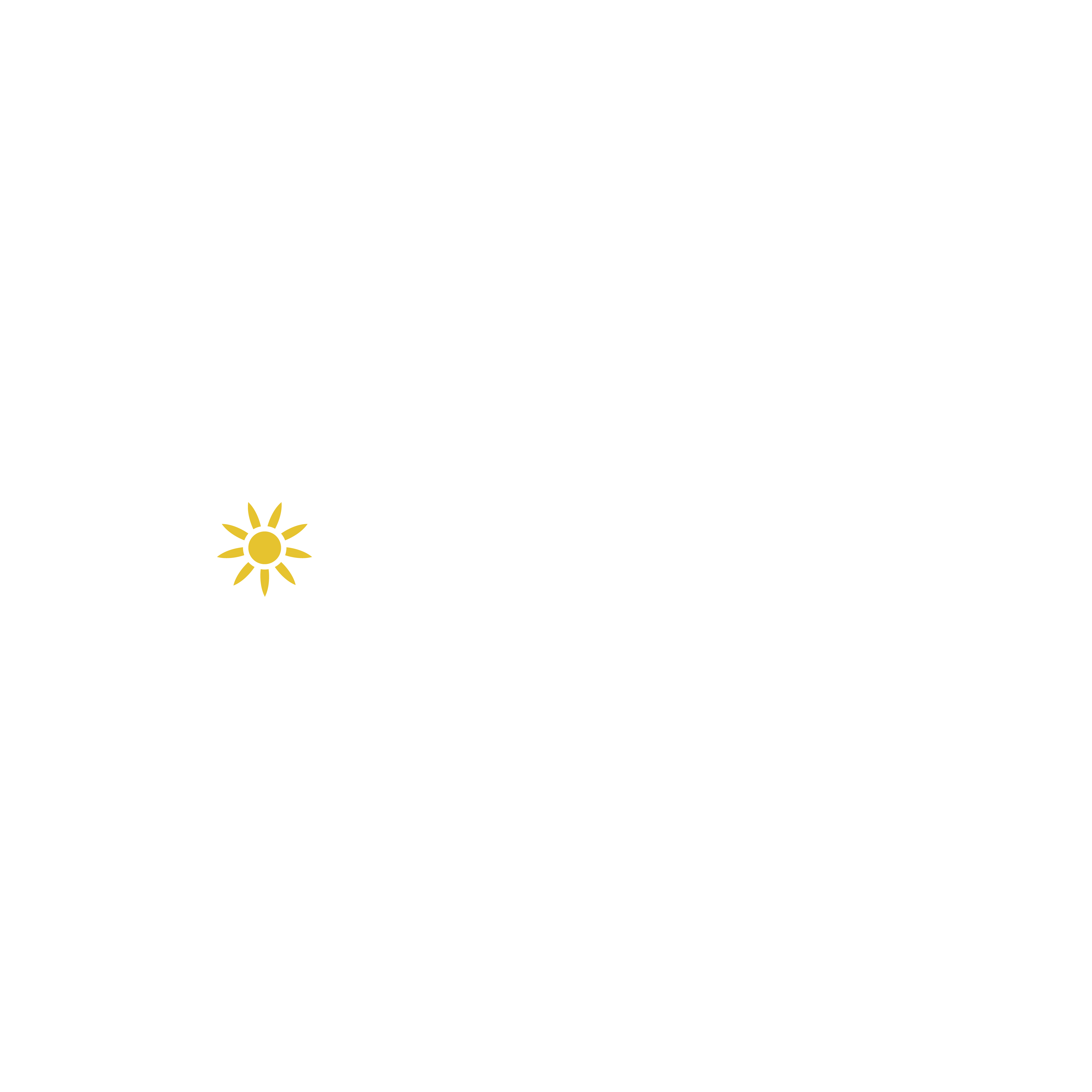 INTROCOM