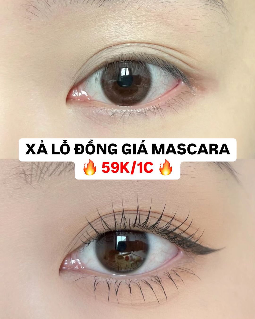 Bài viết Maggie
