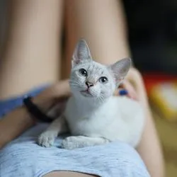 Bài viết Maggie