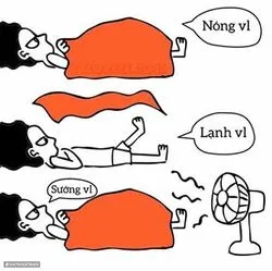 Bài viết Maggie