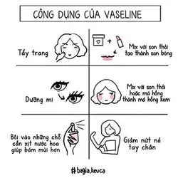 Bài viết Maggie