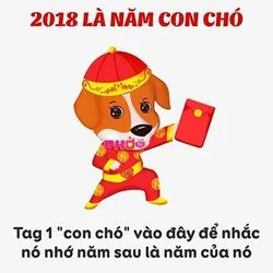 Bài viết Maggie