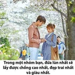 Bài viết Maggie