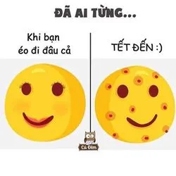 Bài viết Maggie
