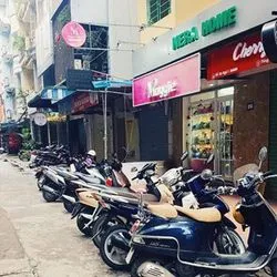 Bài viết Maggie
