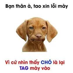 Bài viết Maggie