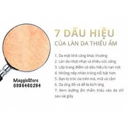 Bài viết Maggie