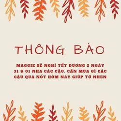 Bài viết Maggie