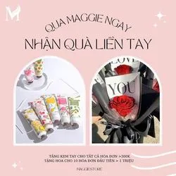 Bài viết Maggie