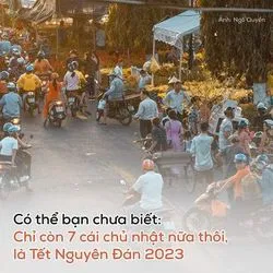 Bài viết Maggie