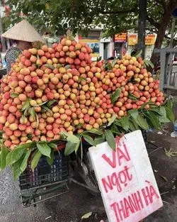 Bài viết Maggie