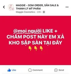 Bài viết Maggie