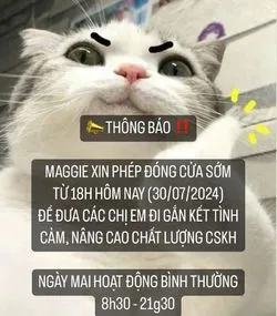 Bài viết Maggie