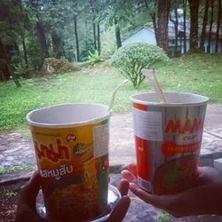 Bài viết Maggie