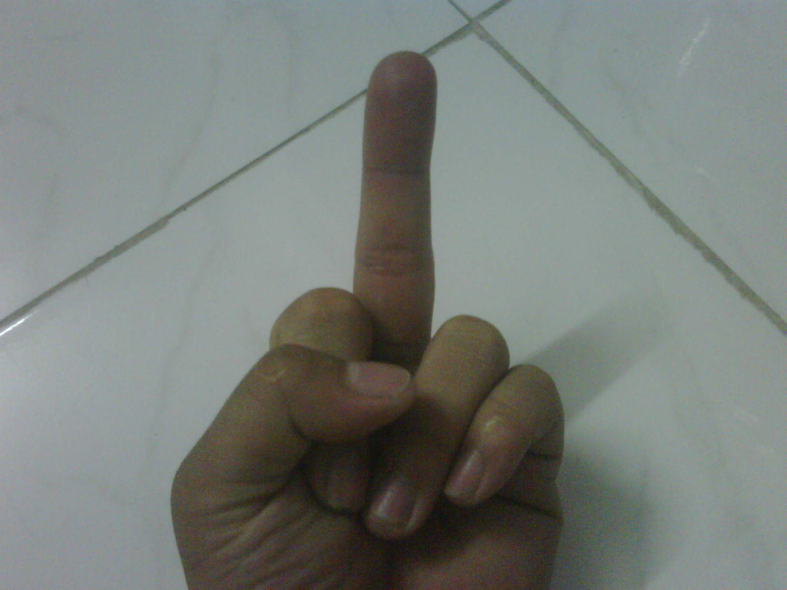 IMG00004-20130522-1922.jpg