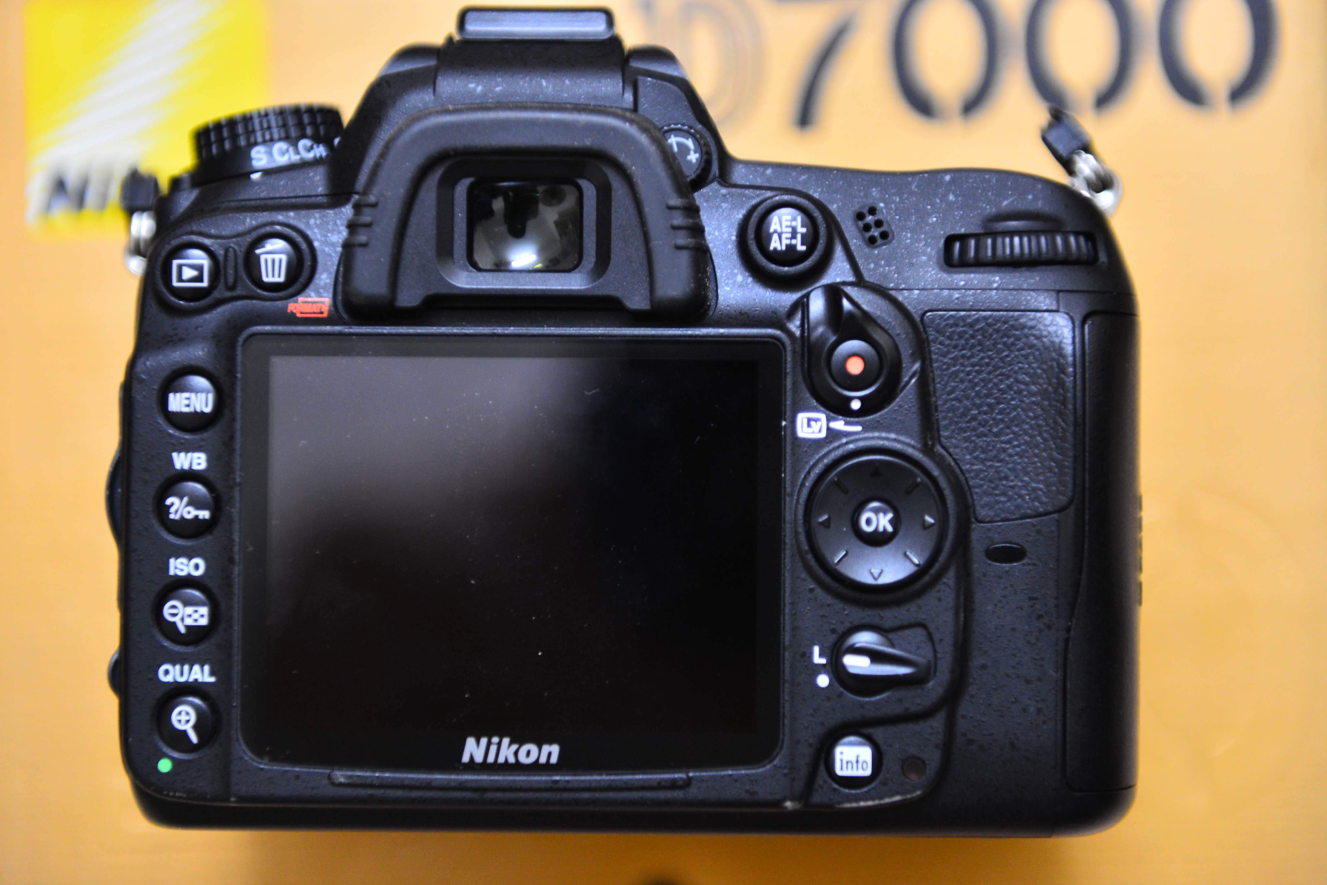 DSC_7502_1.jpg