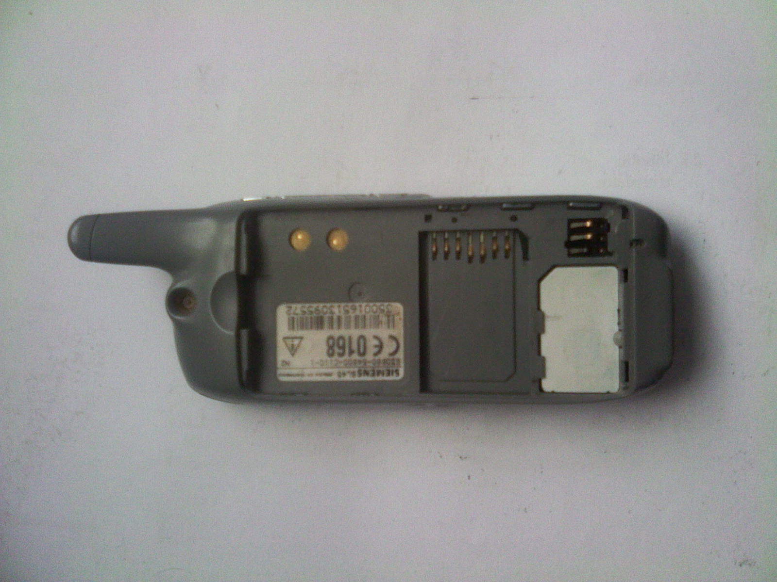 IMG00171.jpg