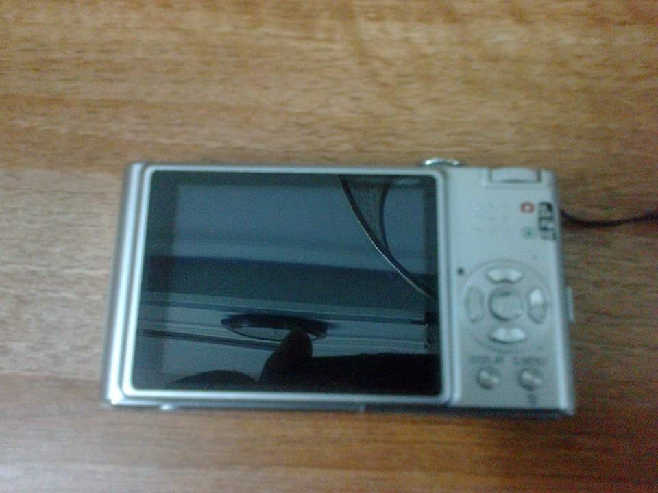 32636_294479424030032_457572467_n.jpg