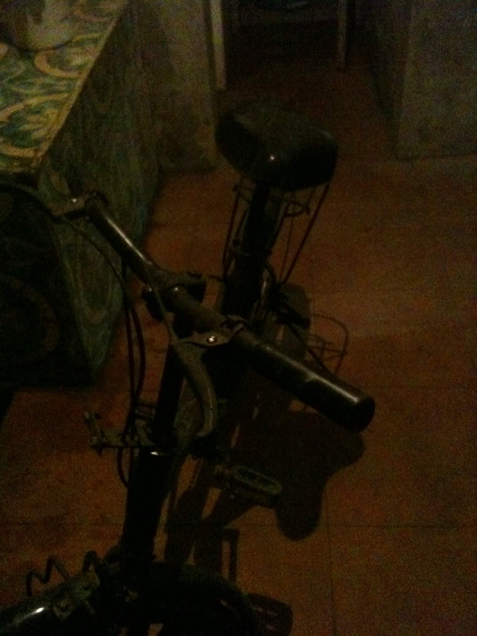 231648 176.JPG