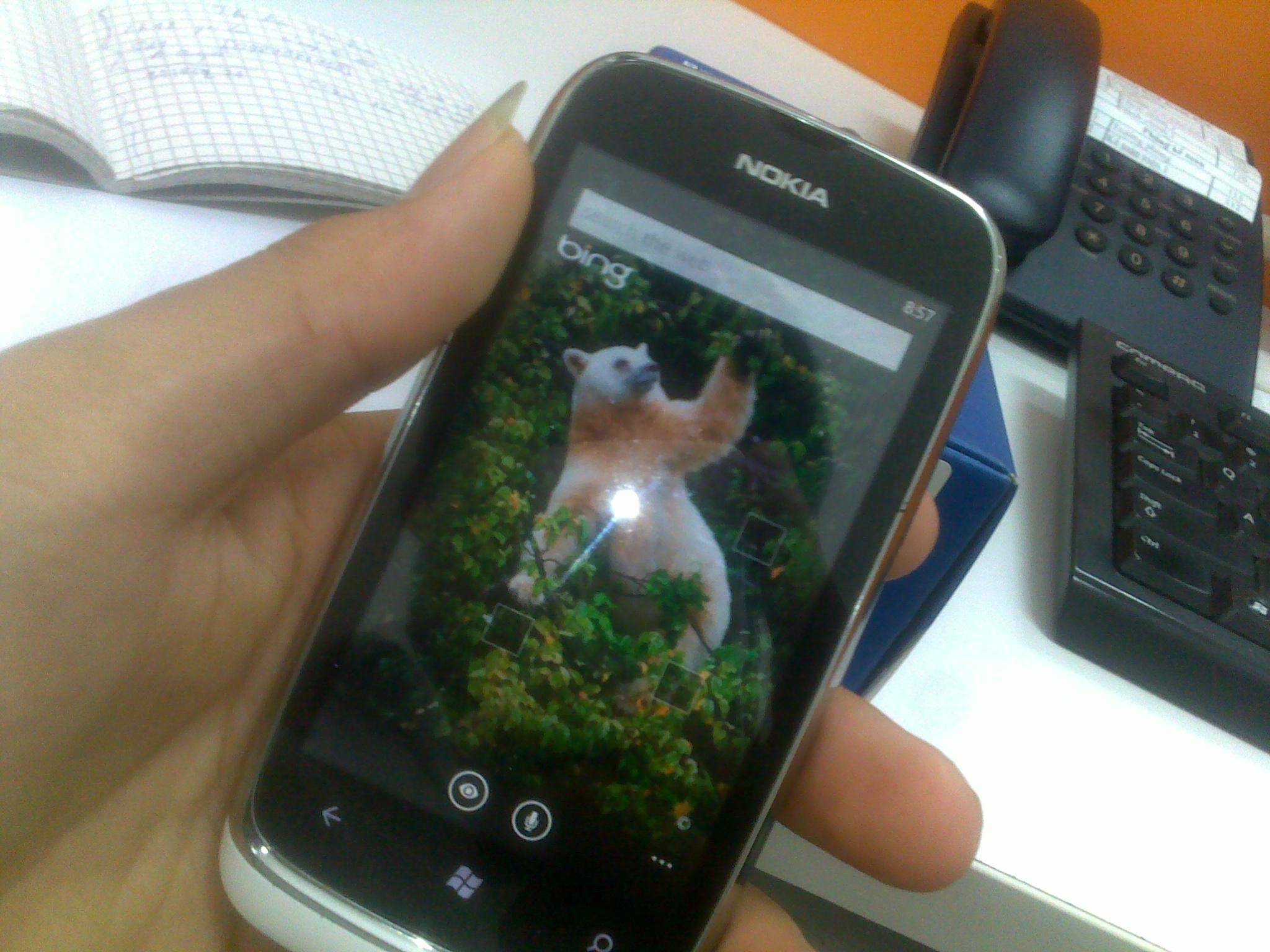 06072013217.jpg
