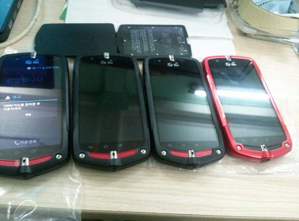 1236689_587211668006102_1213723132_n.jpg