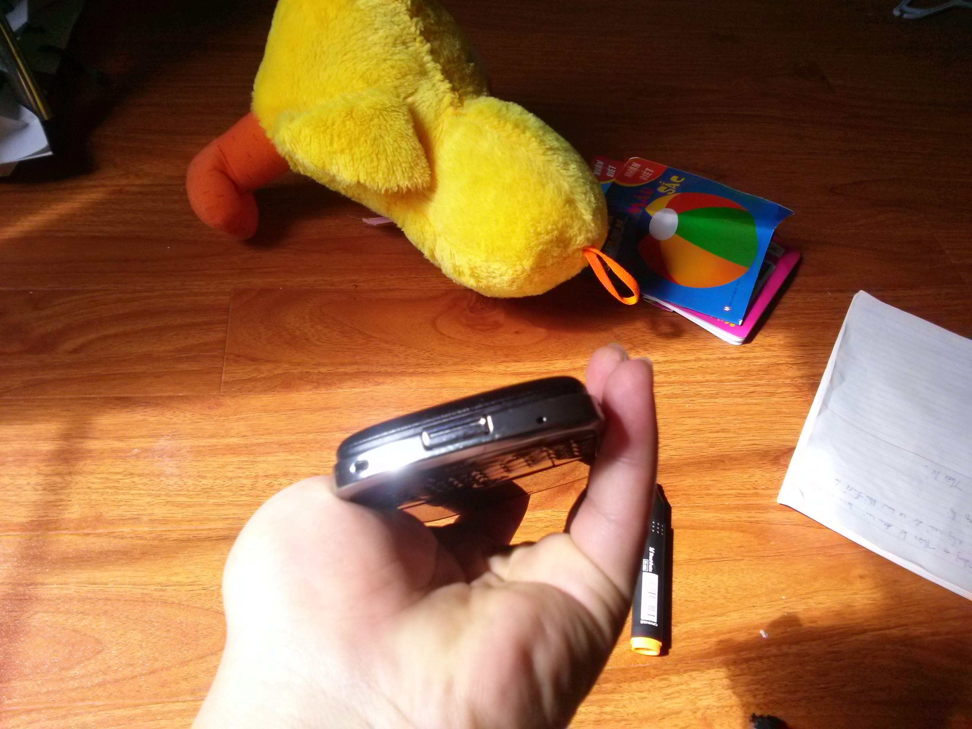 CAM00150.jpg