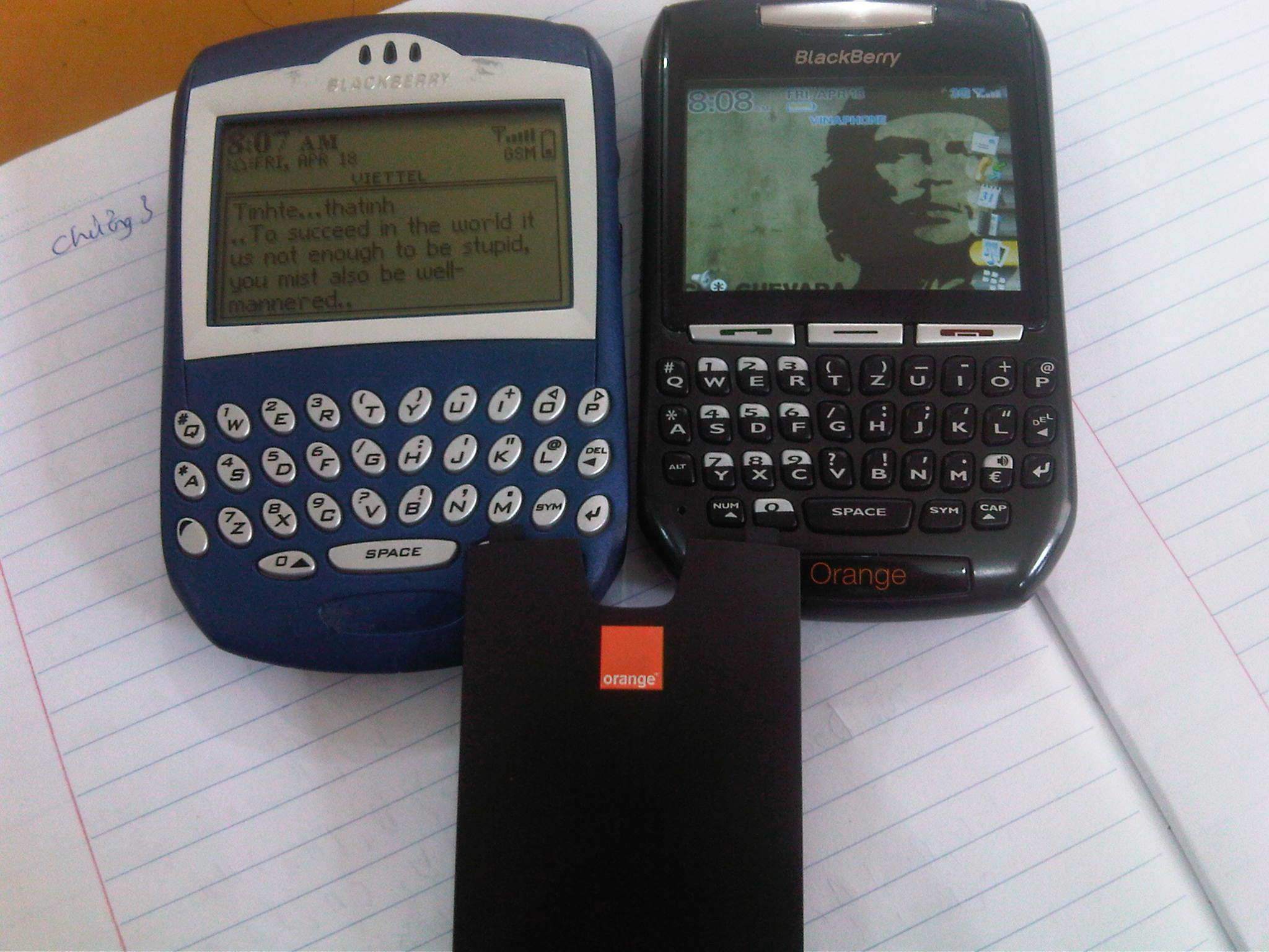 8707.jpg