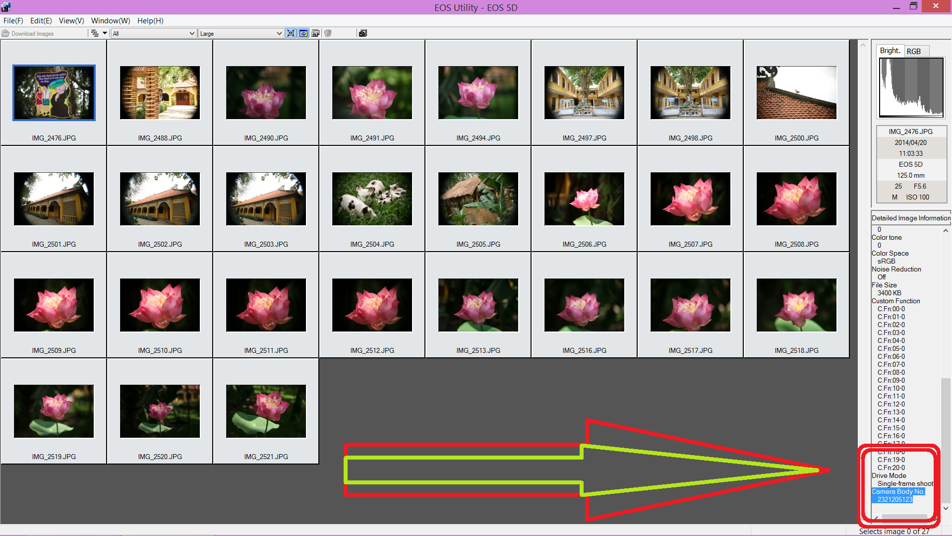 Screenshot (185).png