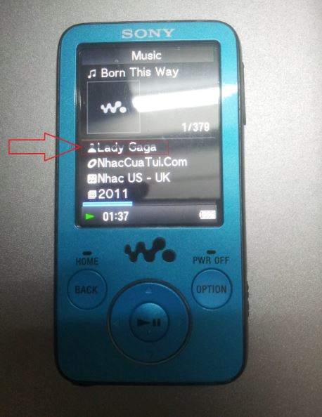 sony.JPG
