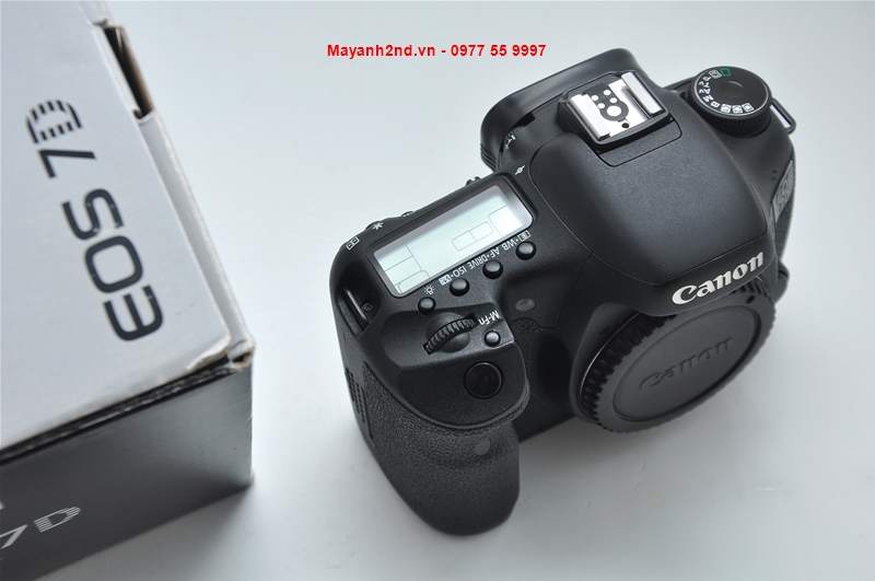 DSC_0019_GF_GF.jpg