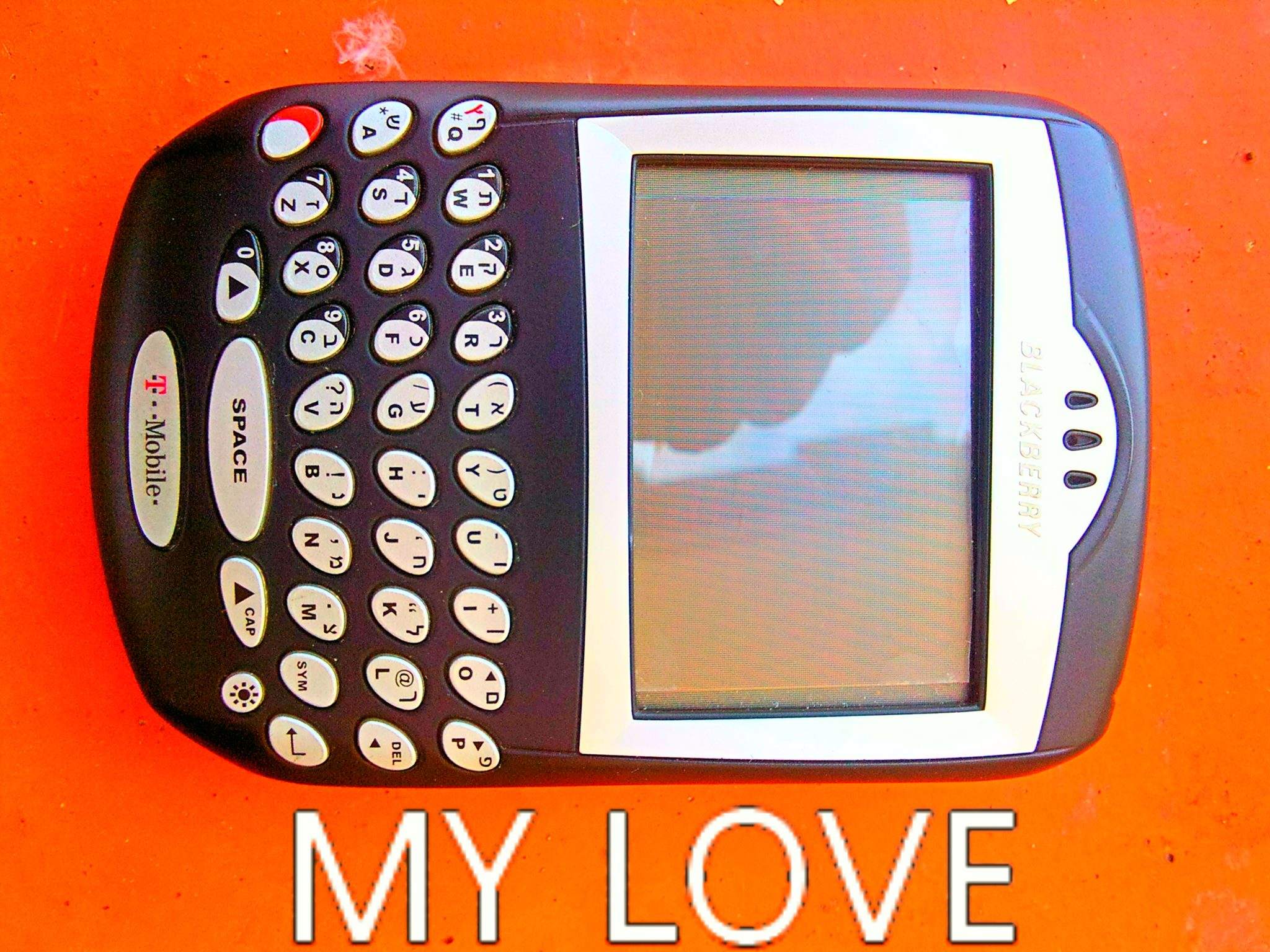 1064929_230869687070728_748558293_o.jpg