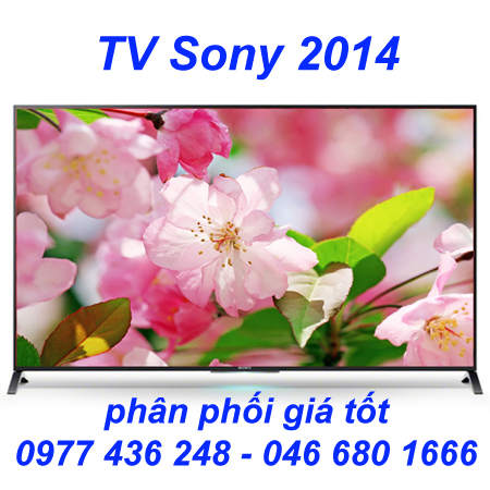 TV Sony 2014.jpg