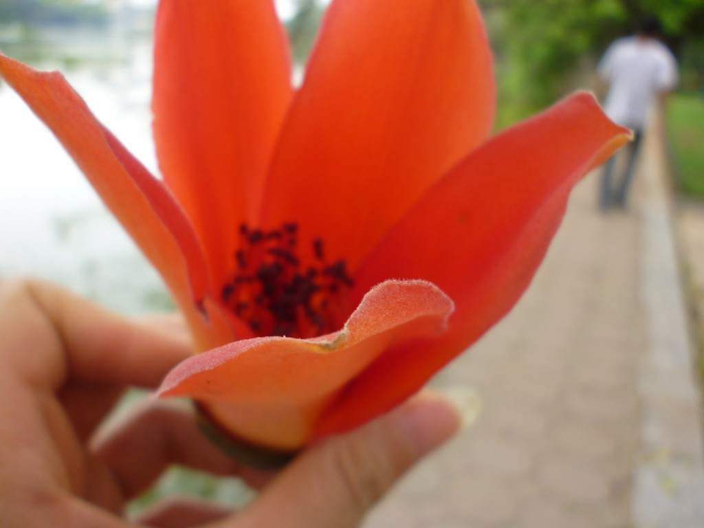 P1000640.jpg