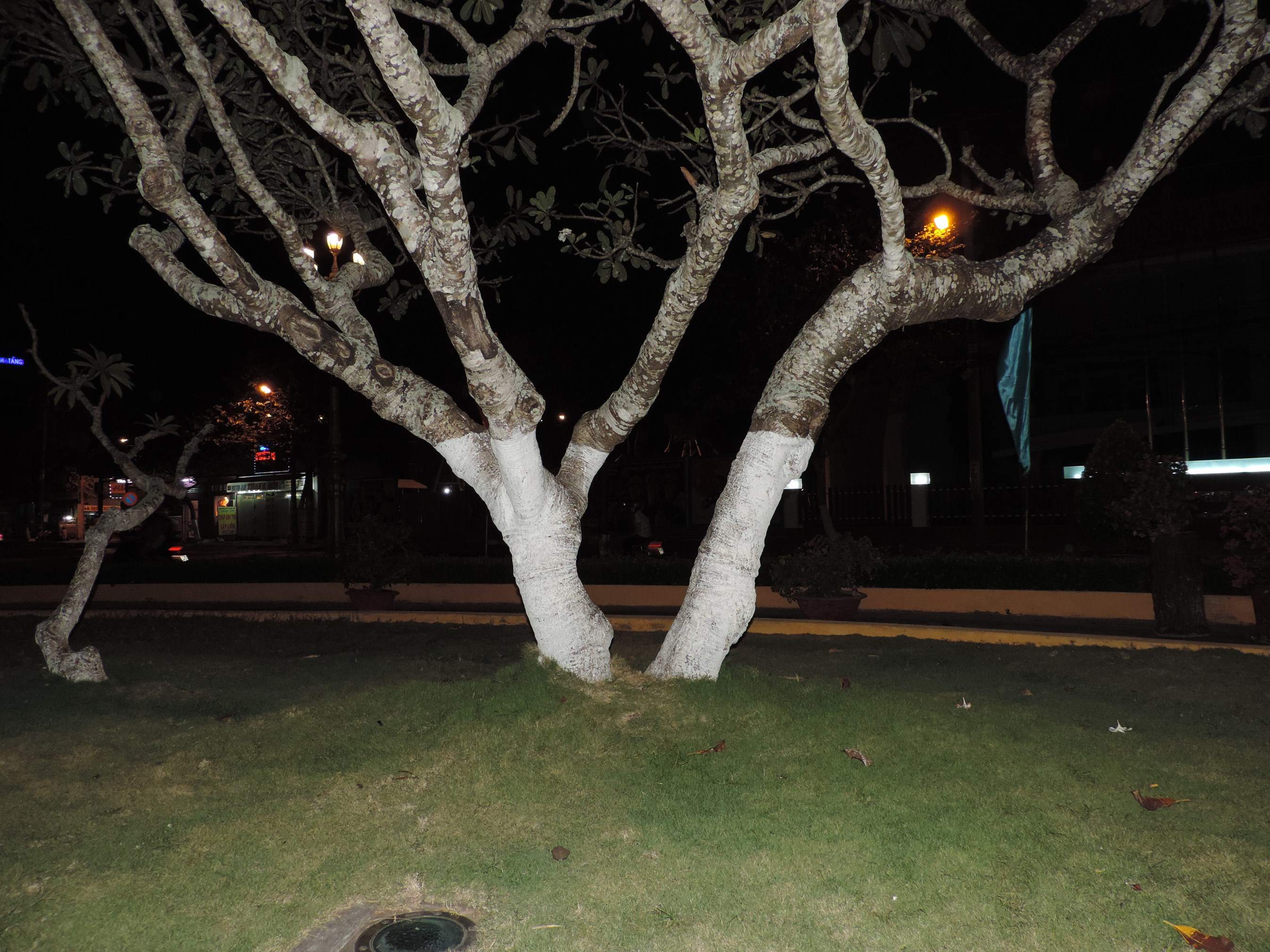 DSCN2479.JPG