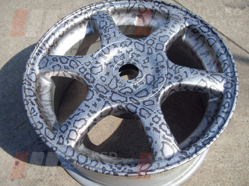 Sample-wheel-in-snake-print.jpg