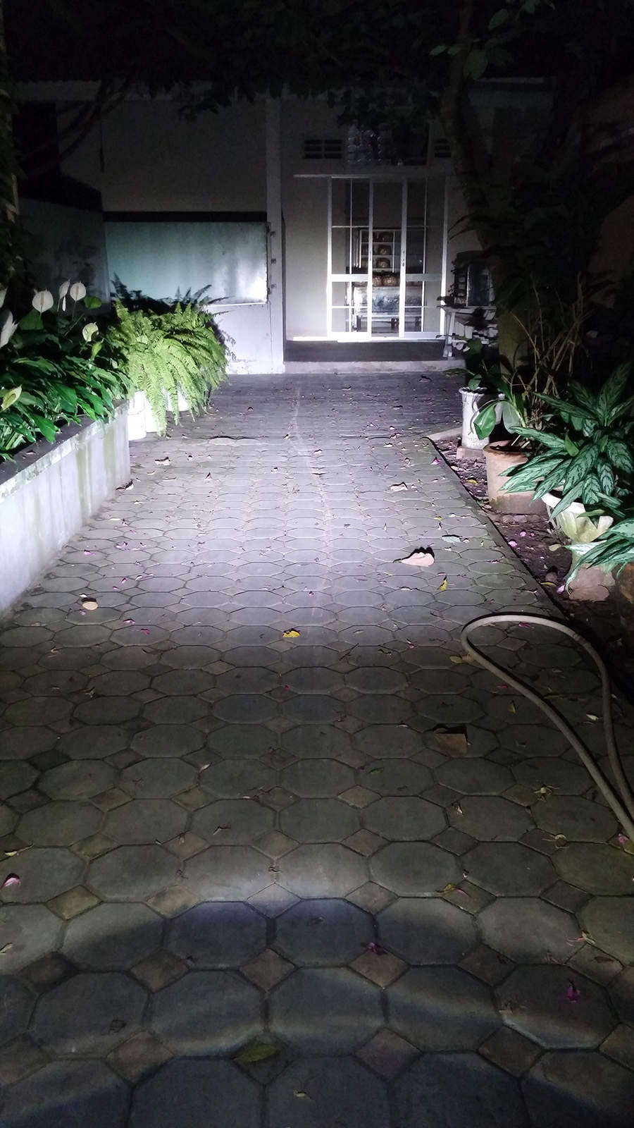 20141106_202524.jpg
