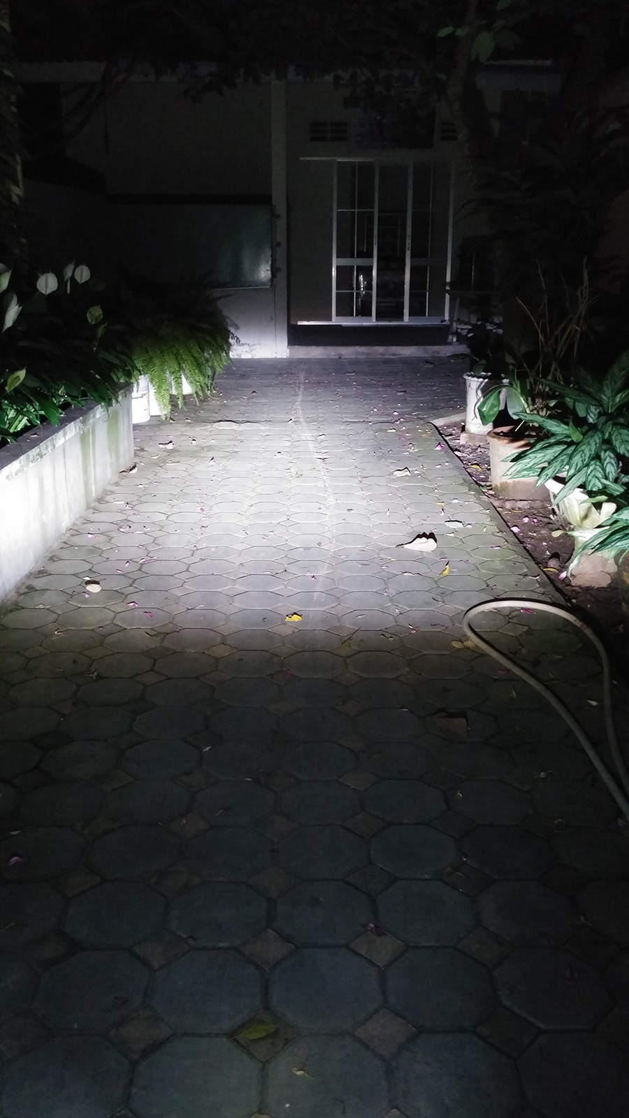 20141106_202529.jpg