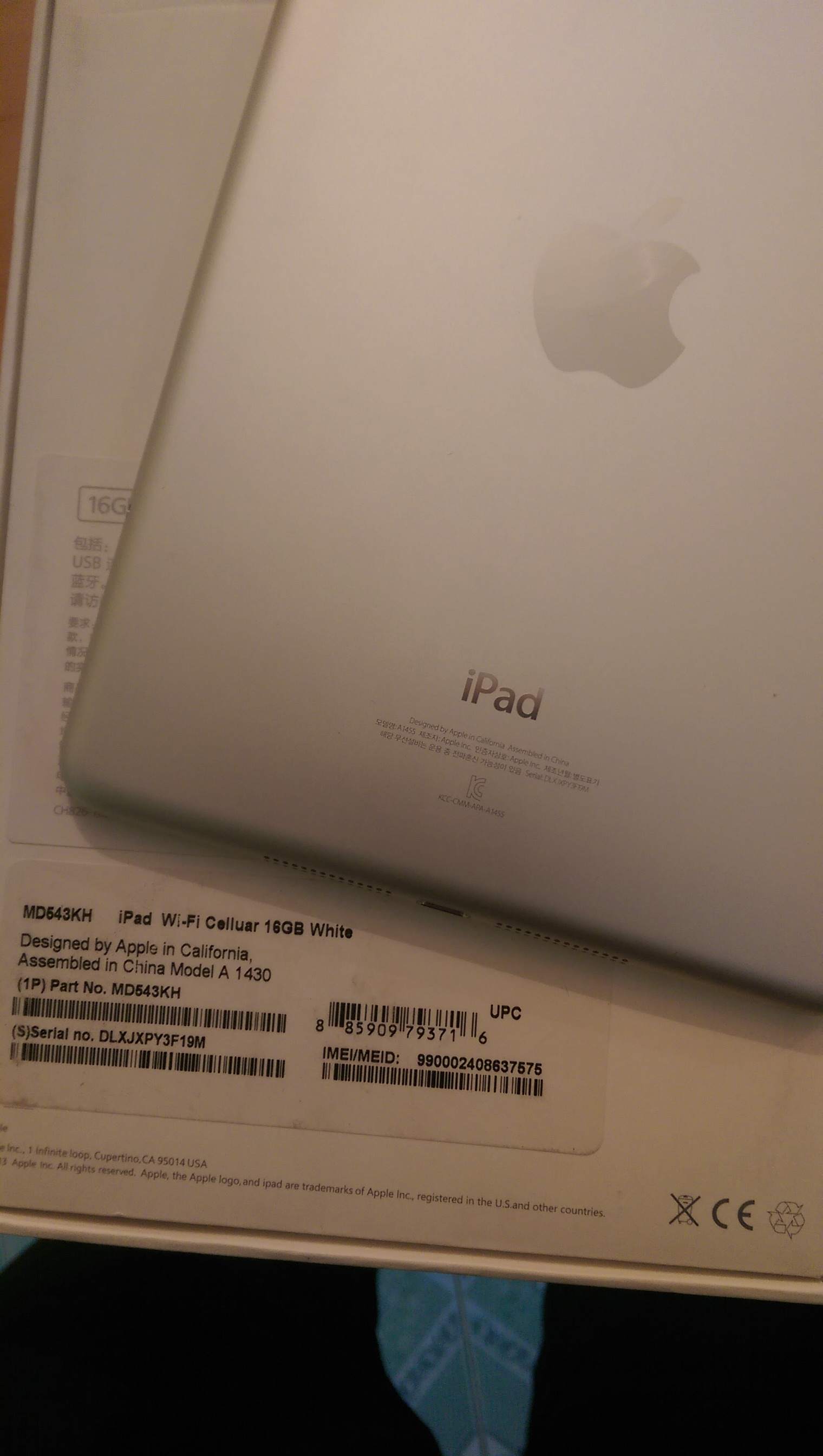 IMAG0017.jpg