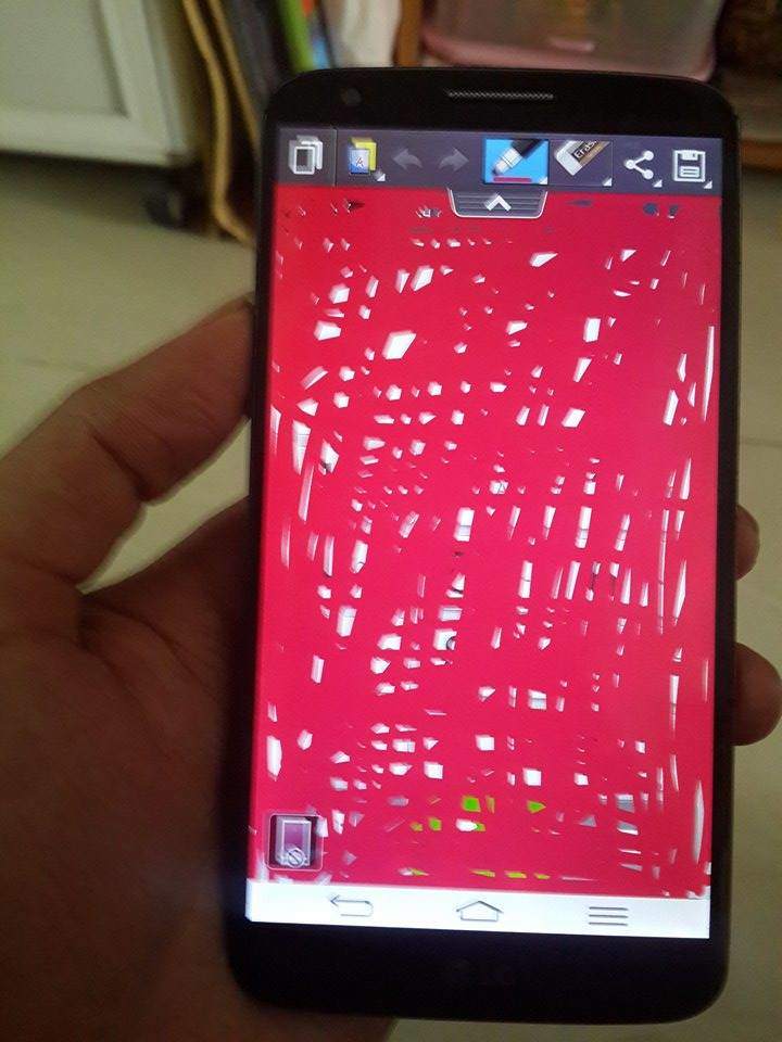 11040738_432273456930336_799140988_n.jpg
