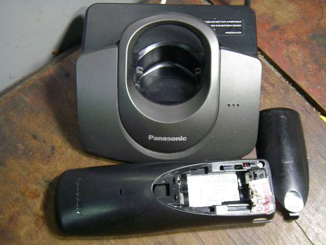 P1010021.jpg