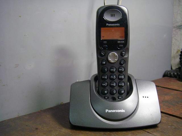 P1010024.jpg