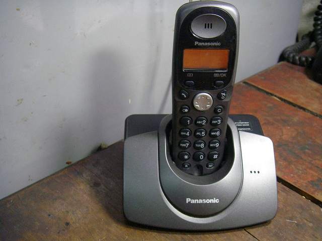 P1010025.jpg
