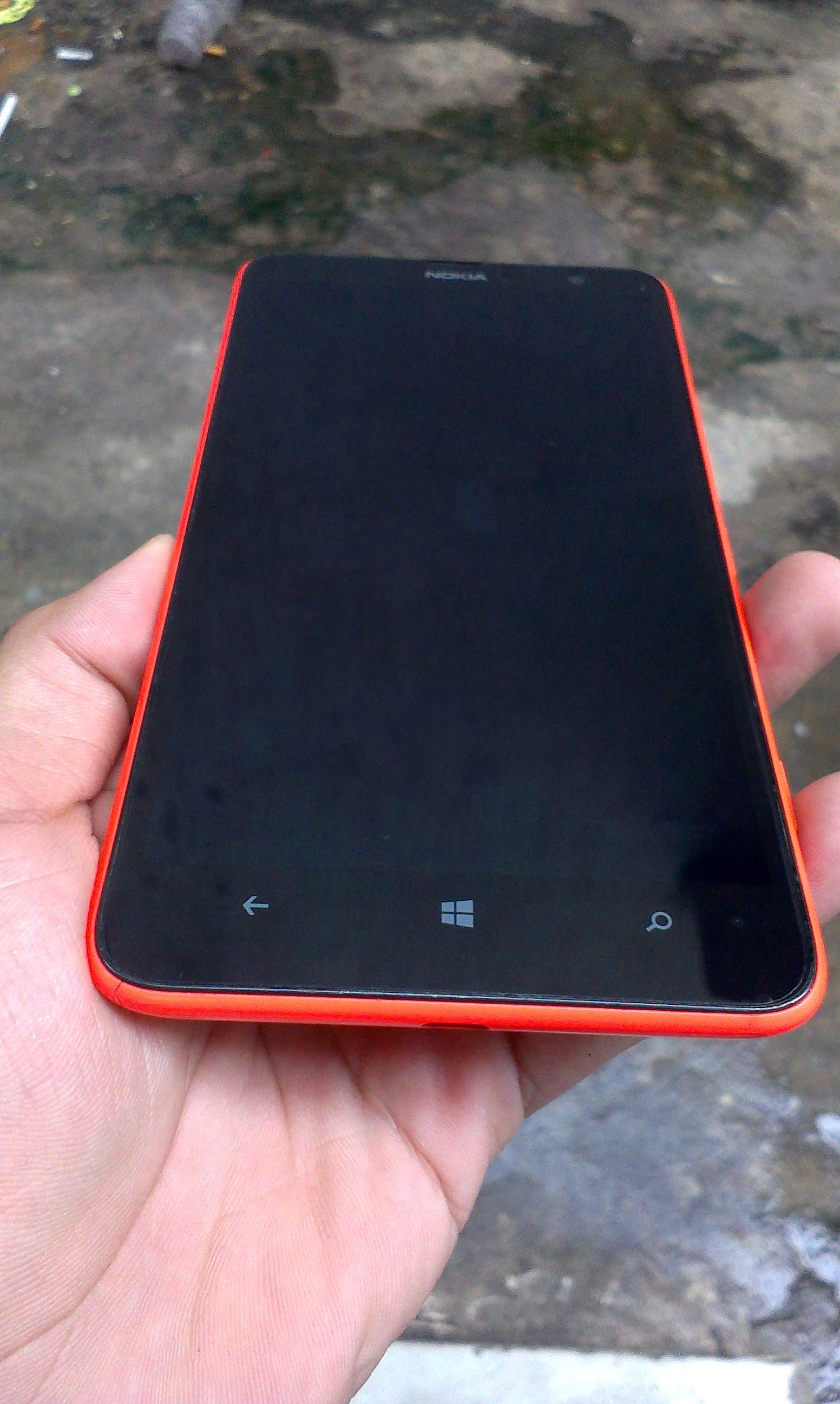 IMAG0244.jpg