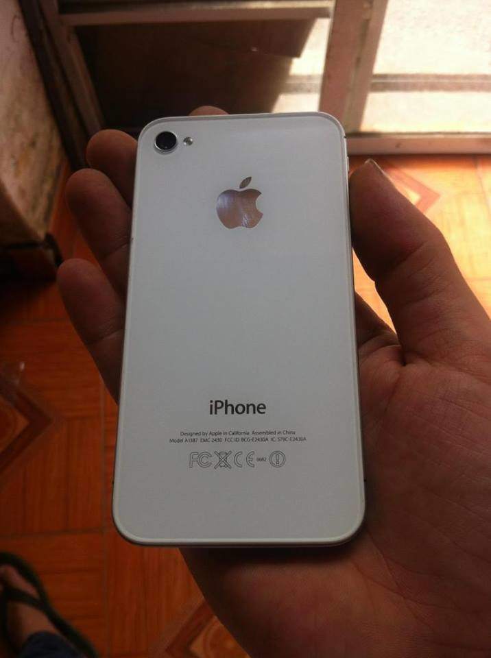 apple 2.jpg