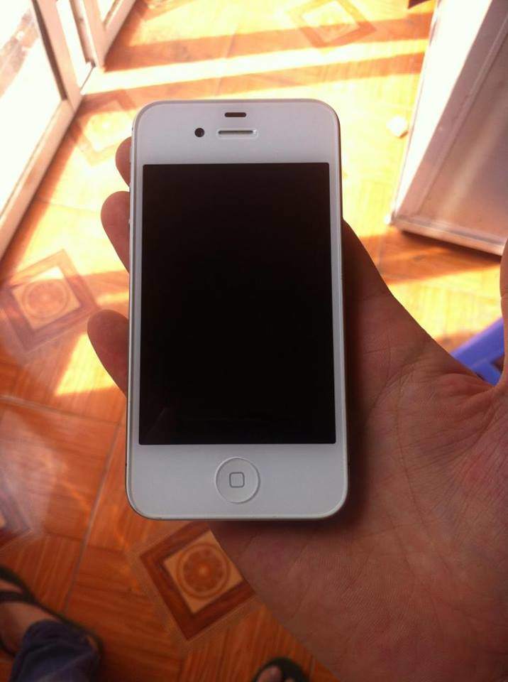 apple 3.jpg